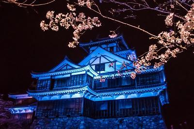 Aloha Inn Aine (Adults Only) Fukuchiyama Exterior foto